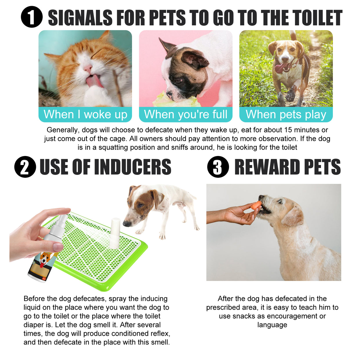Pet Defecation Locator Spray, Pet Poop Location Pet Cats And Dogs Locate Defecation Inducers - V.I.P Digital Presence