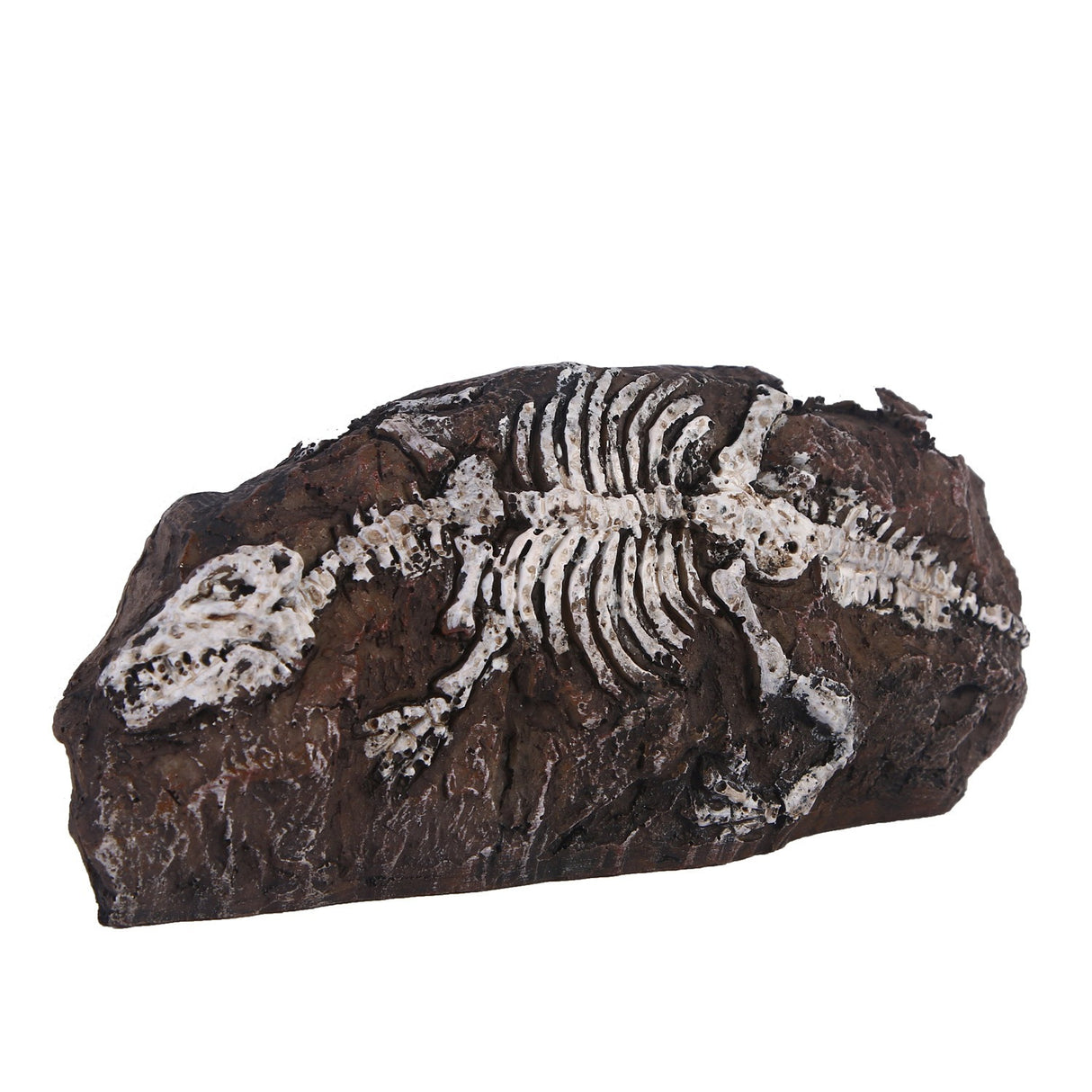 Fossil aquarium fish tank resin ornaments - V.I.P Digital Presence