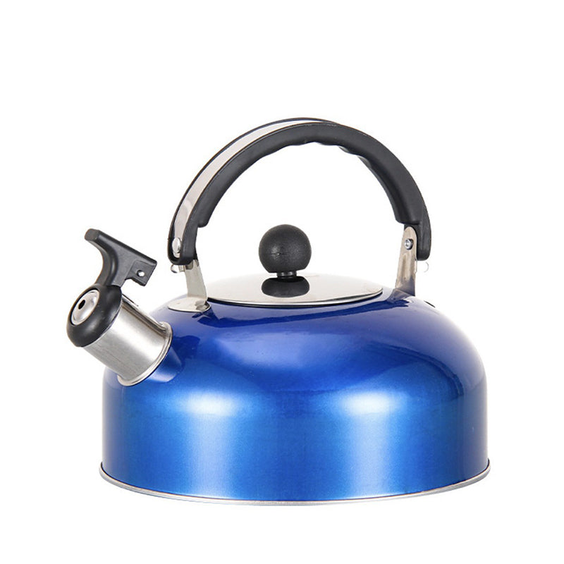 A 3L stainless - steel kettle for gas heating. It features a whistle and a comfortable handle, suitable for cooking and tea. - V.I.P Digital Presence