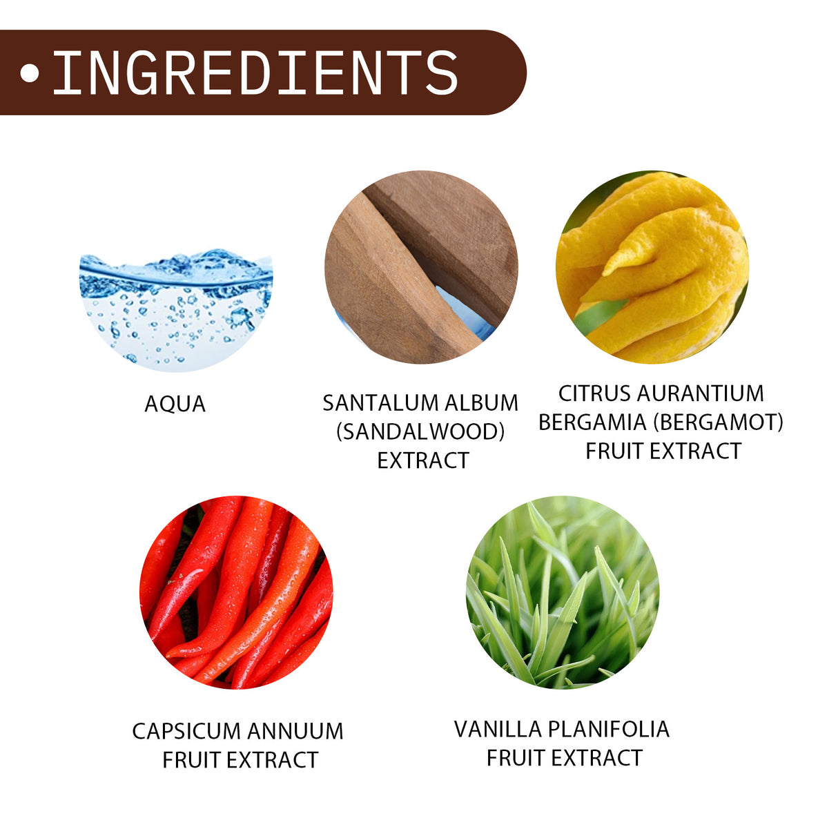 Perfume Aromatic Spray, Mild Not Pungent Lasting Fragrance Men Release Charm Light Elegant Fresh Atmosphere Perfume - V.I.P Digital Presence