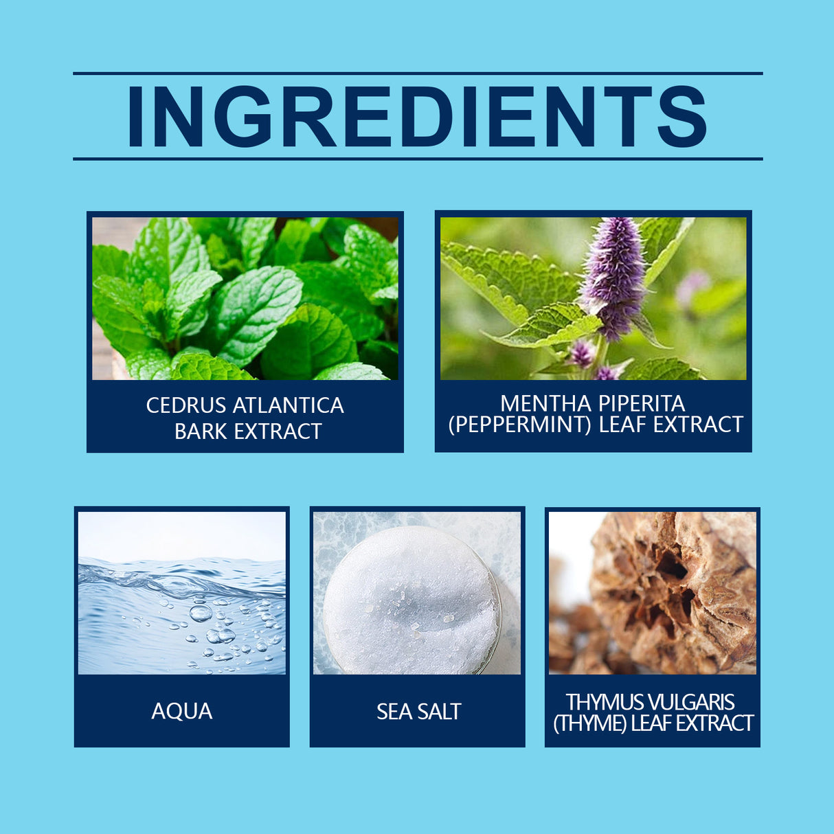 Ocean Fresh Luxury Eau De Toilette Natural Fragrance Elegant Romantic Couple Dating Niche Lasting Perfume Spray - V.I.P Digital Presence