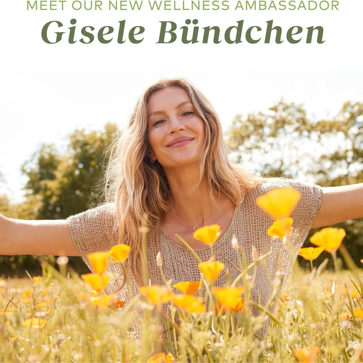 Oil of Oregano Soft Capsules - V.I.P Digital Presence