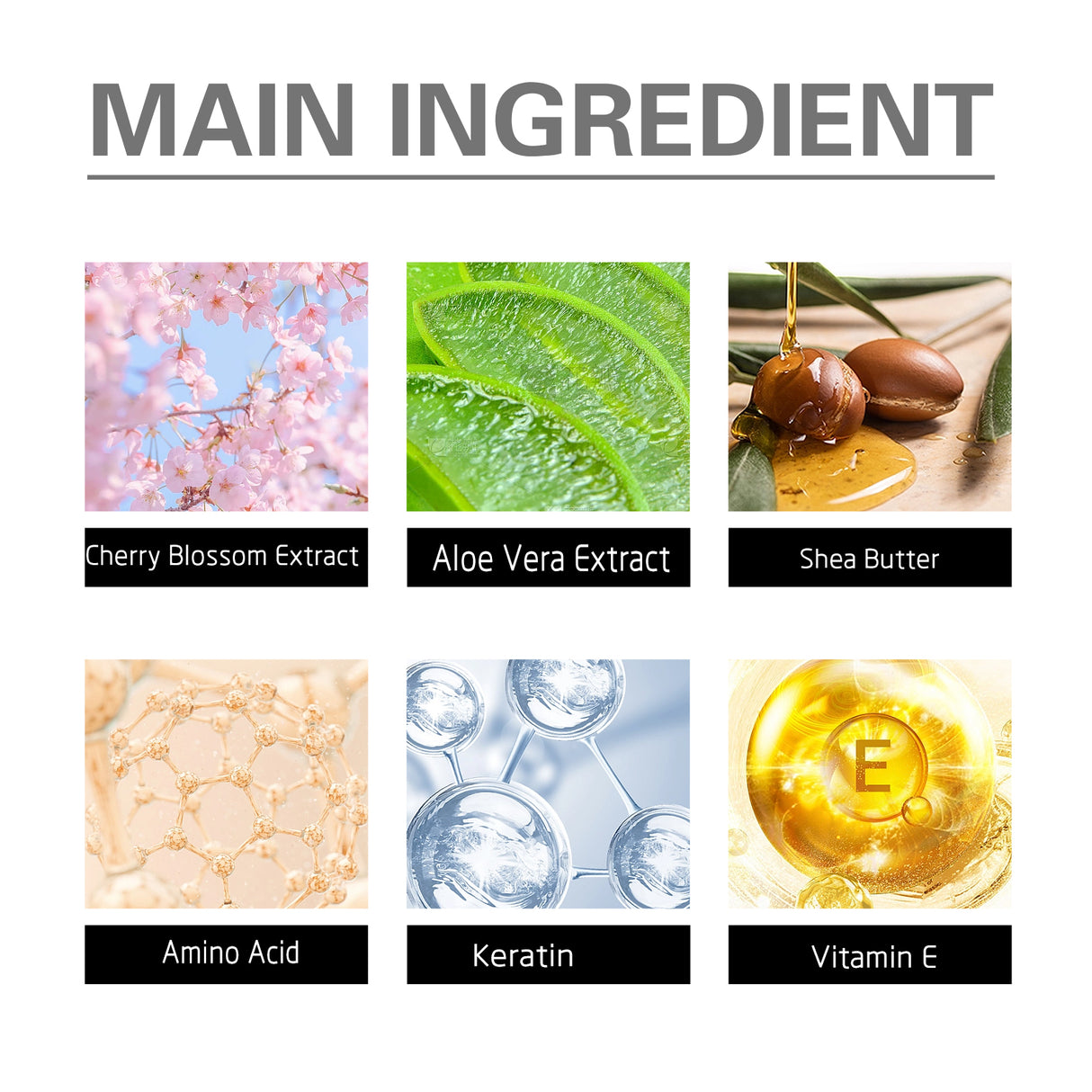 Amino Acid Shampoo, Deeply Clean The Scalp Repair Hair Follicle Damage Strengthen Hair Off The Hair - V.I.P Digital Presence