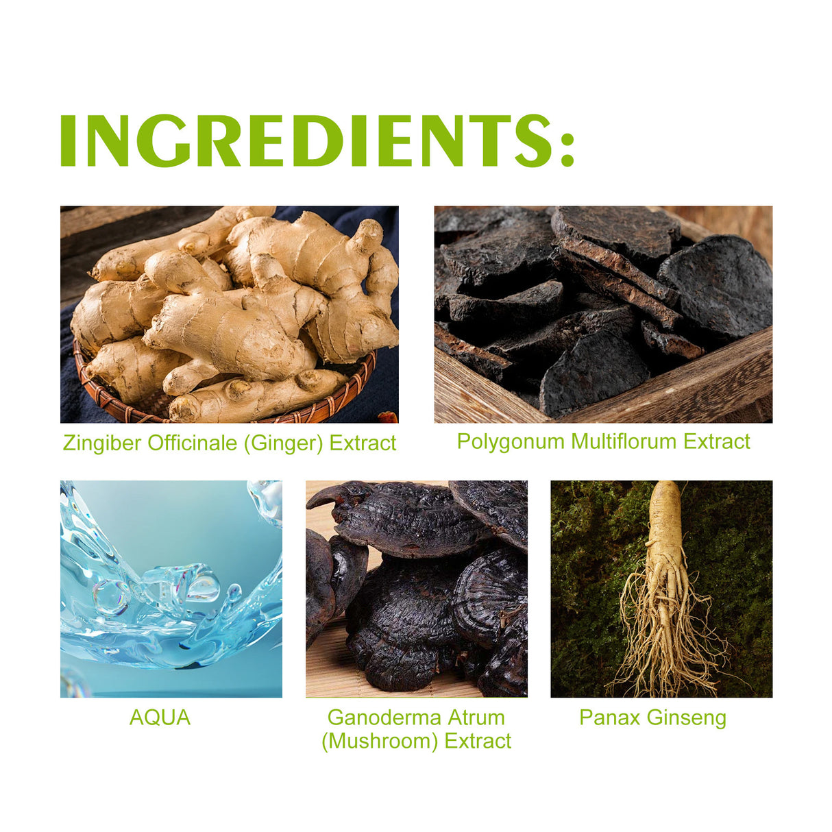 HOEGOA Hair Dye Shampoo, Gentle Hair Moisturizing Hair Fast Easy Coloring Lasting Hair Cream - V.I.P Digital Presence