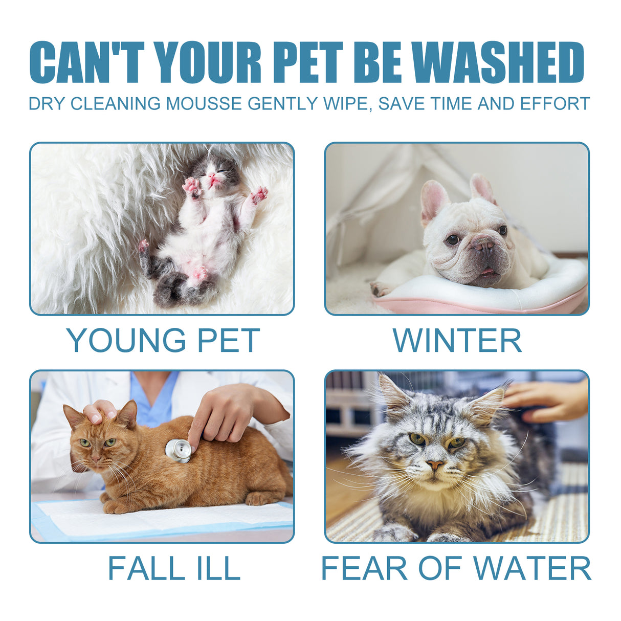 Pet Dry Cleaning Mousse Body Wash For Young Cats And Dogs Wash Free To Remove Odor And Smooth Hair Cleaning - V.I.P Digital Presence