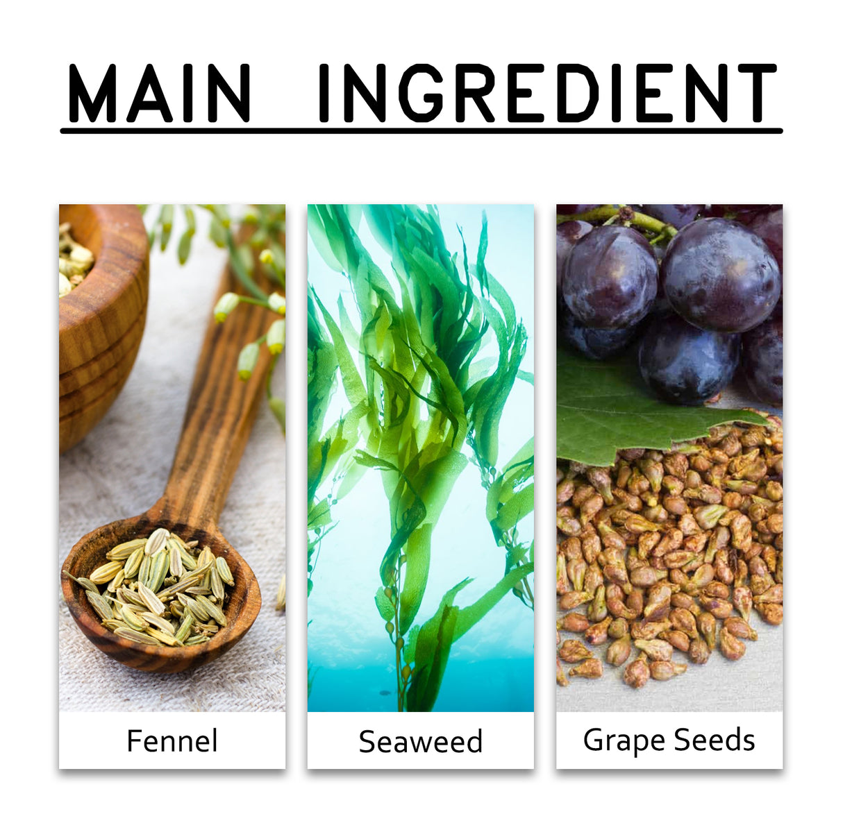 Hot Slimming Cream, Massage Firming Skin Tummy Arms Thighs Fat Body Sculpting Cream - V.I.P Digital Presence