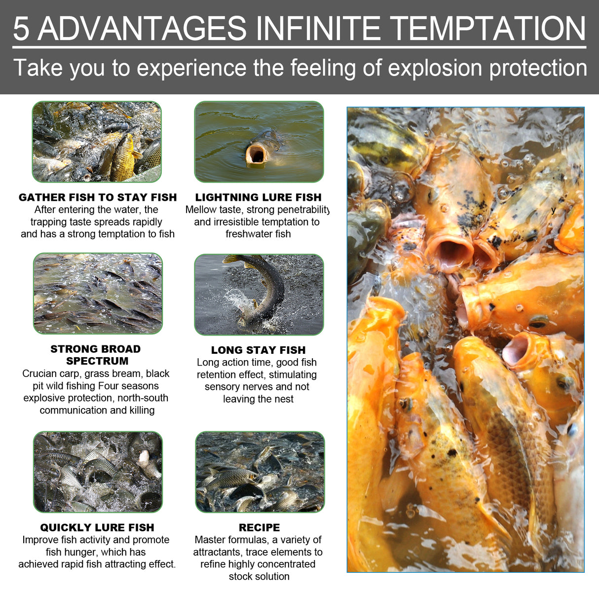 Bait Attractant, Reservoir Bait Fishing Bait Fish Portable Fish Primer - V.I.P Digital Presence