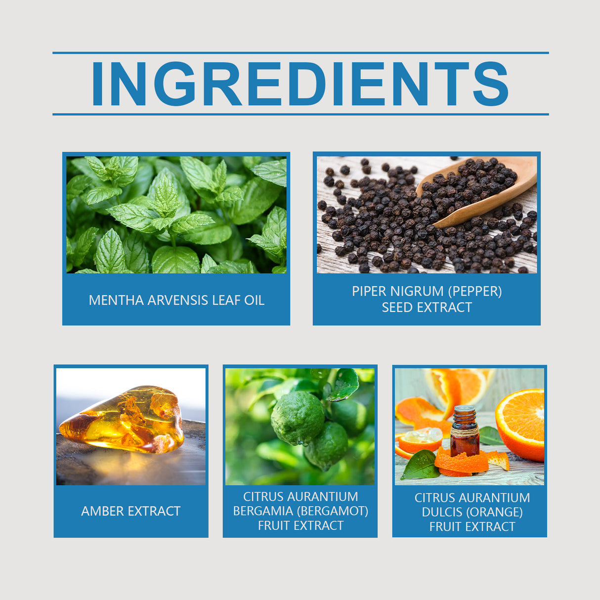 Men's Mint Cologne, Exudes Personal Charm Lasting Fragrance Light Fragrance Fresh Atmosphere Cologne - V.I.P Digital Presence