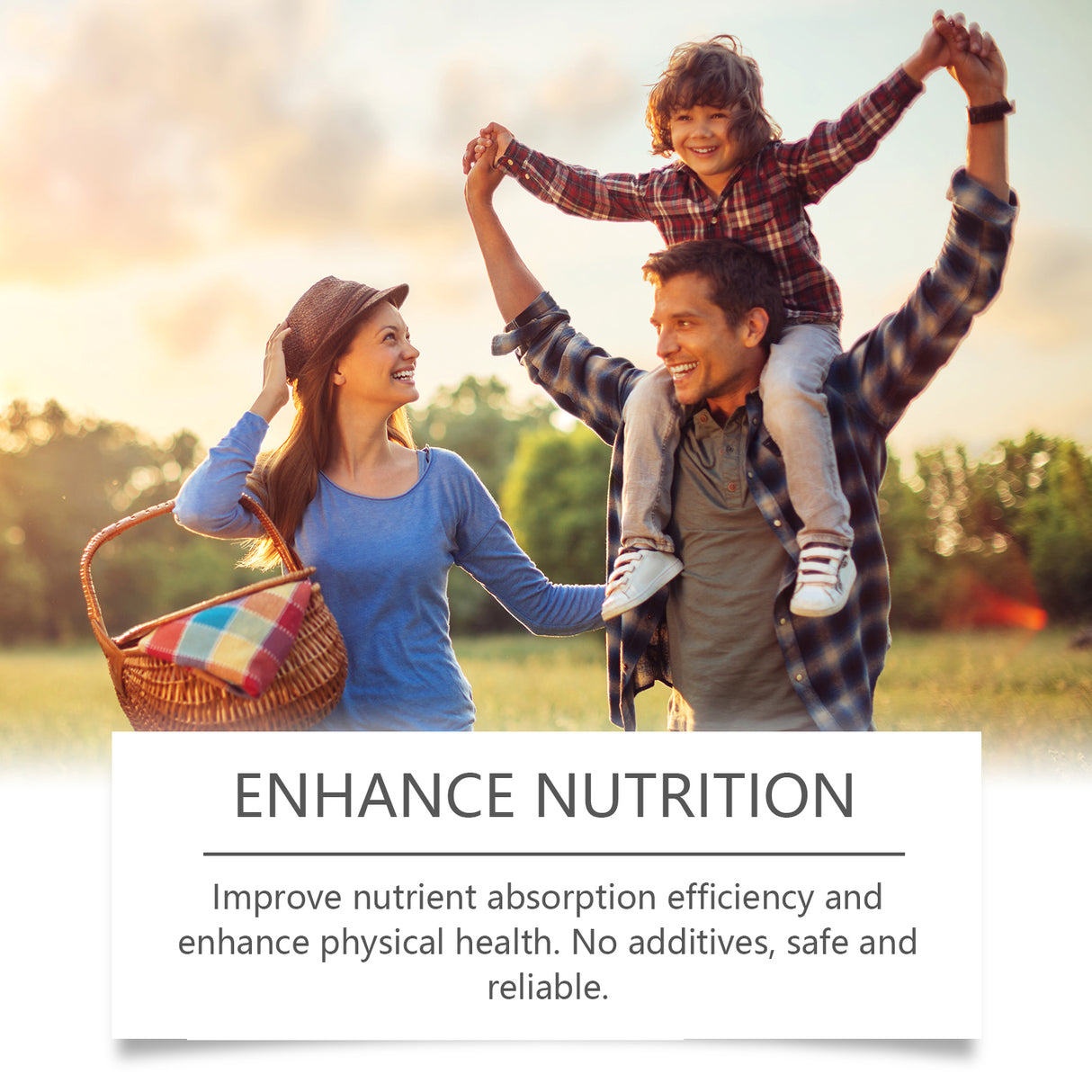 Gastrointestinal Digestive Supplement Drops, Gastrointestinal Digestive Supplement Body Treatment - V.I.P Digital Presence