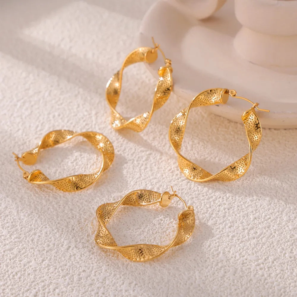 Titanium Steel Twisted Earrings - V.I.P Digital Presence