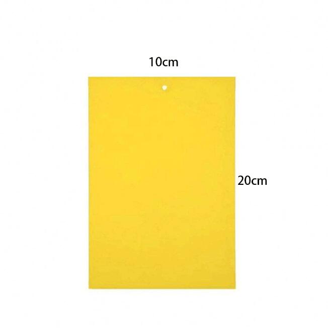 Double sidedStrong Flies Traps Bugs Sticky Board Catching Aphid Insects Killer fly Control Whitefly Thrip Leafminer Glue Sticker - V.I.P Digital Presence