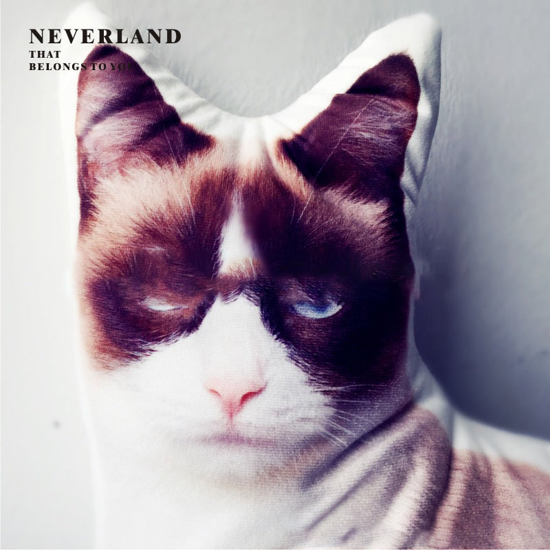 Cute Pet Shaped Pillow Custom To Map Custom DIY Sofa Cushion Car Pillow