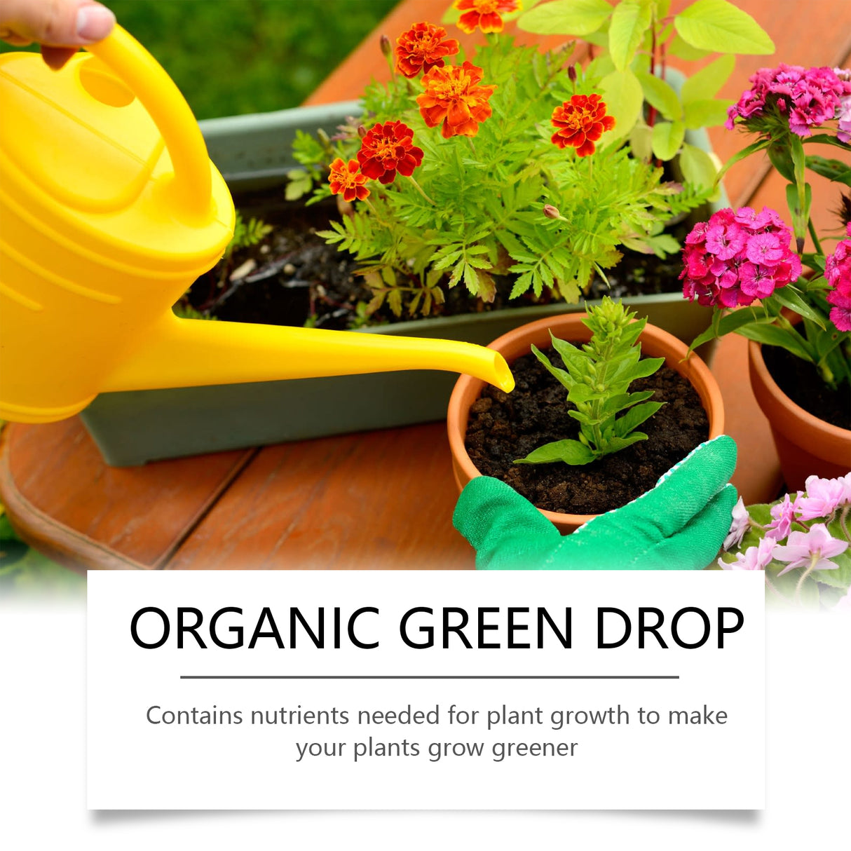 Plant growth Solution potted green leaf lawn flower plant hair root supplement fertilizer nutrient solution - V.I.P Digital Presence