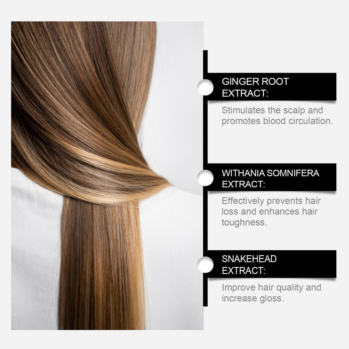 Herbal Hair Care Shampoo Gently Cleanses Scalp And Improves Frizzy Hair Care Shampoo - V.I.P Digital Presence