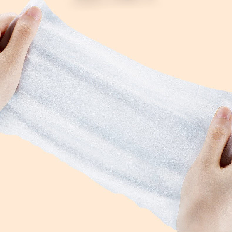 Pet Care Wet Wipes 100 Sheets Dog No-Rinse Cleaning Tissues Cat Eye Care Tear Stain Removal Wipes Wholesale - V.I.P Digital Presence