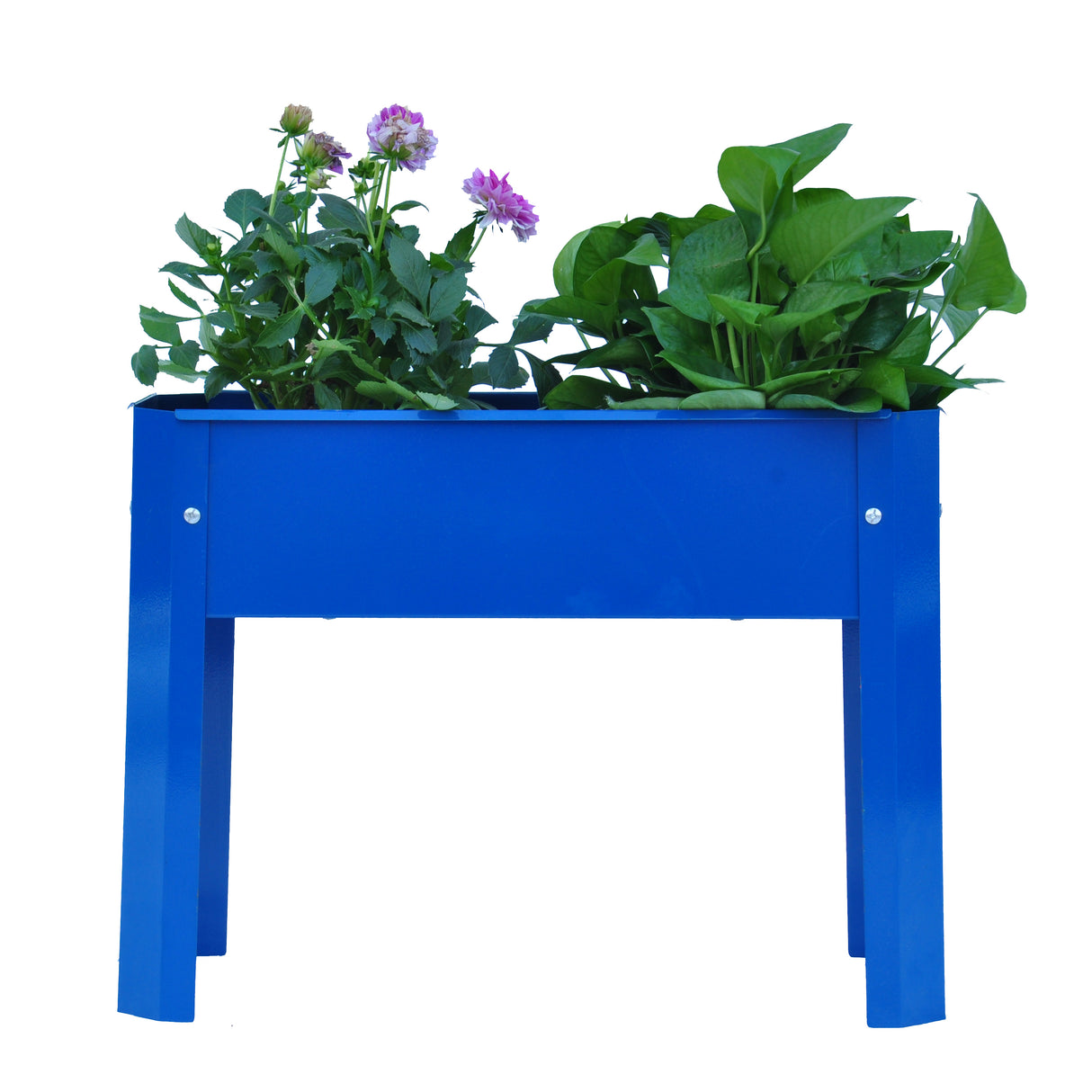 Elevated garden bed metal elevated outdoor flowerpot box suitable for backyard and terrace large flowerpot flower(Blue*2) - V.I.P Digital Presence