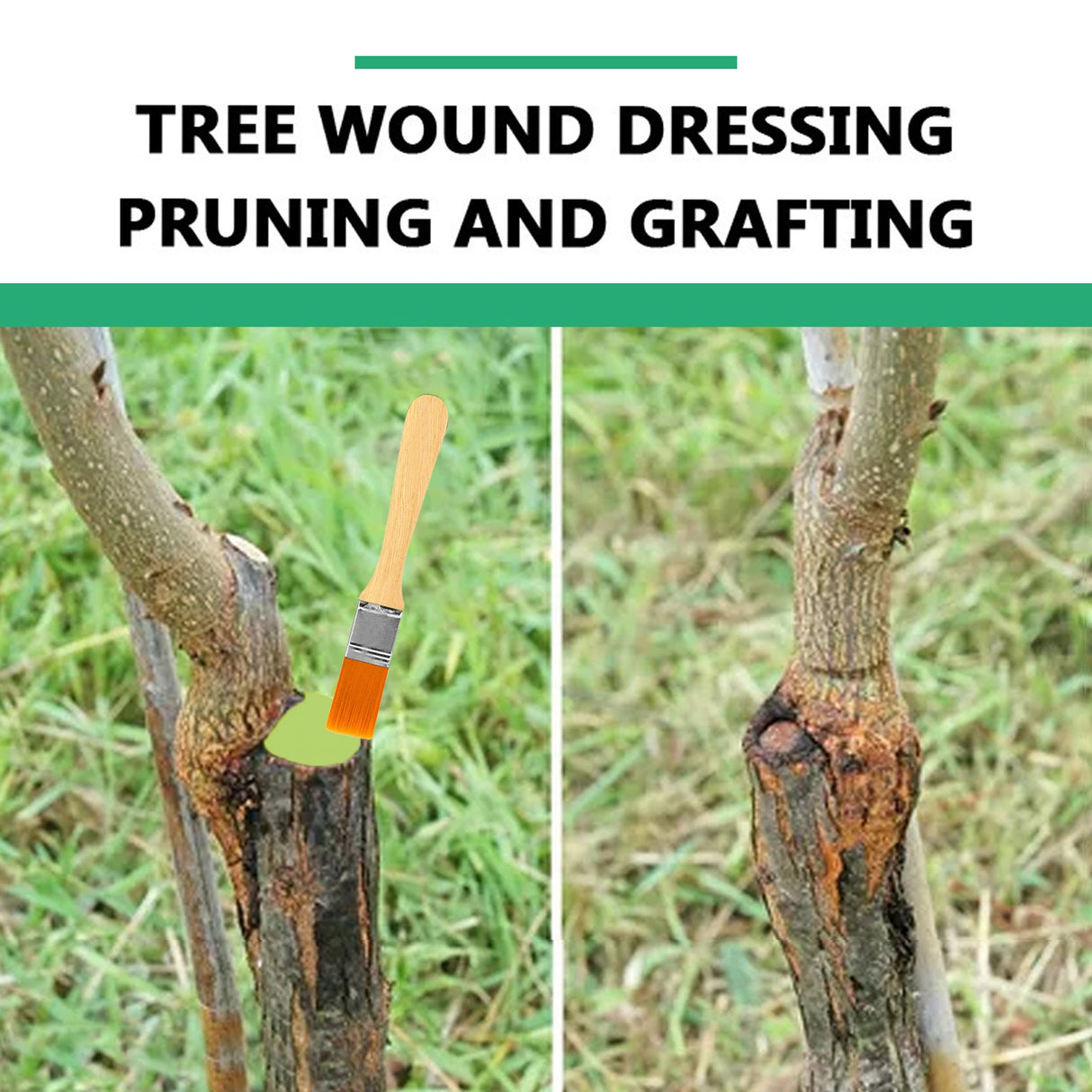 Seedling Tree Wound Sealer Callus Scars Cut Paste Bonsai Pruning Sealer Saw Cuts Coating Tree Wound Healing Paste Tree - V.I.P Digital Presence