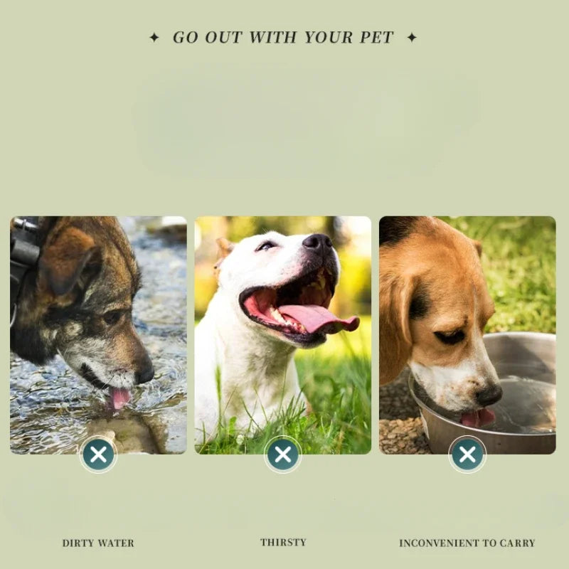 Dog Feeders Folding Silicone Bowl Outdoor Travel Foldable Portable Cat Dog Food Water Container Feeding Tray Bowl Pet Supplies - V.I.P Digital Presence