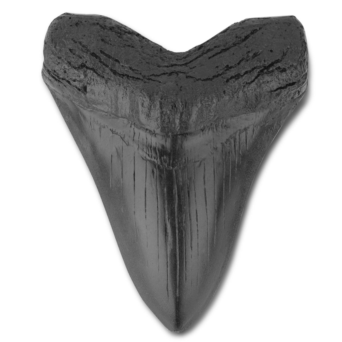 Resin crafts, retro simulation shark teeth, animal teeth, auspicious indoor decoration ornaments - V.I.P Digital Presence