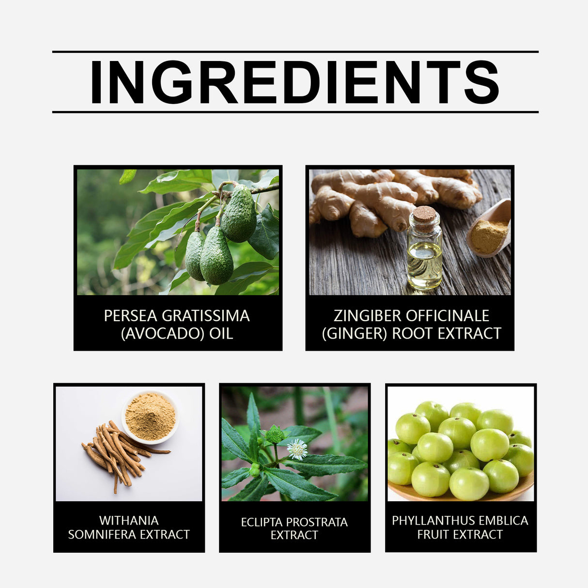 Herbal Hair Care Essential Oil Repair Dry, Hydrating, Smooth And Improve Frizzy Hair Care Essence - V.I.P Digital Presence