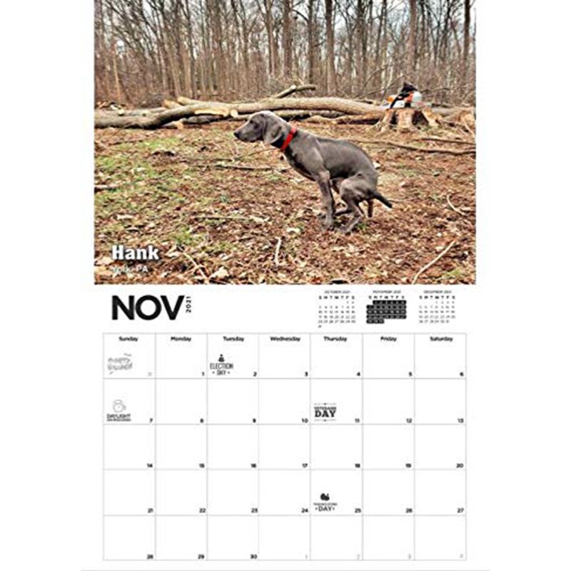 2021 Pooping Pooches Calendar White Elephant Gag Gift Calendar 2021 Calendar Poster Retro Decor Painting - V.I.P Digital Presence