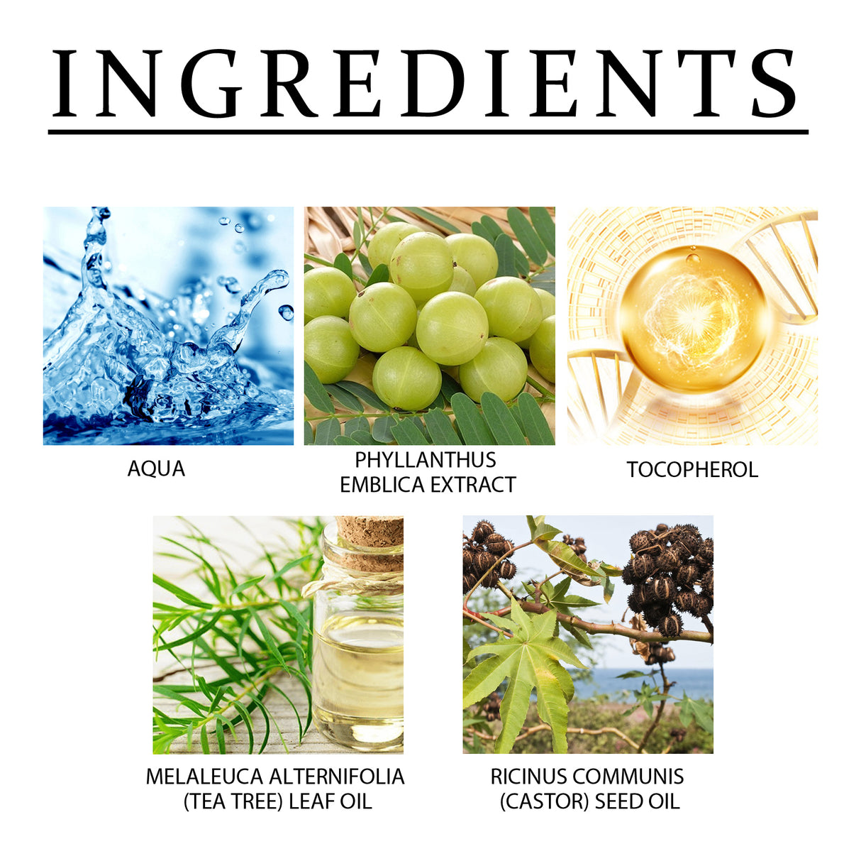 Amla Anti Hair Thinning Shampoo, Scalp Cleanness Moist Smooth Shiny Hair, Dense Hair Wash Protect Suits - V.I.P Digital Presence