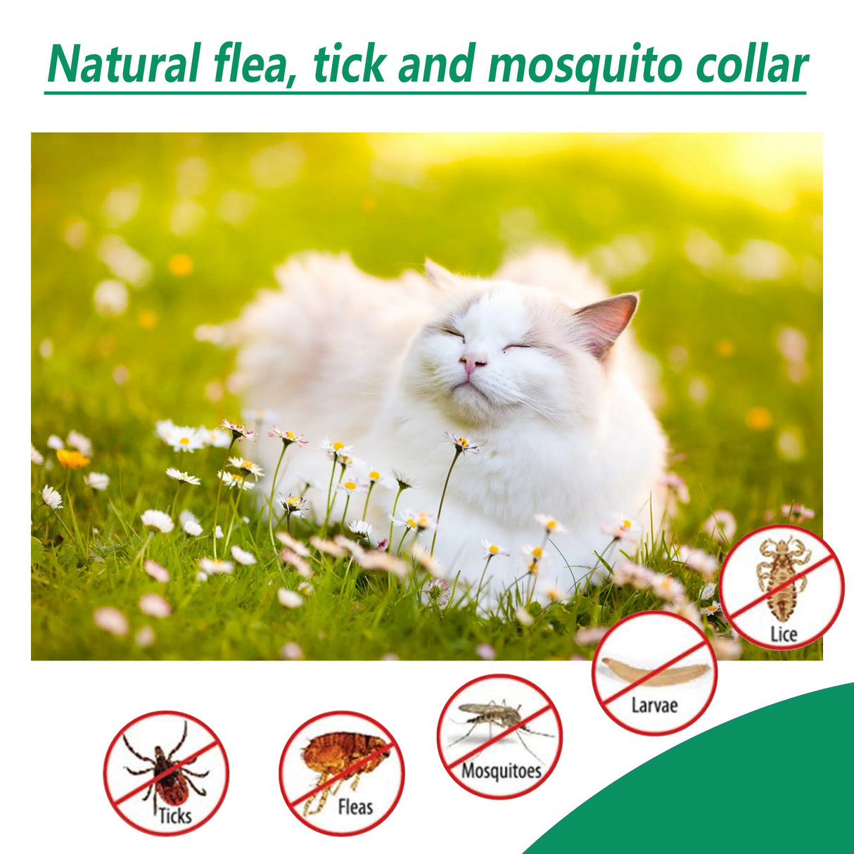 Pet Deworming Collar, Flea Resistant Tick Resistant Pet Waterproof Adjustable Deworming Collar - V.I.P Digital Presence