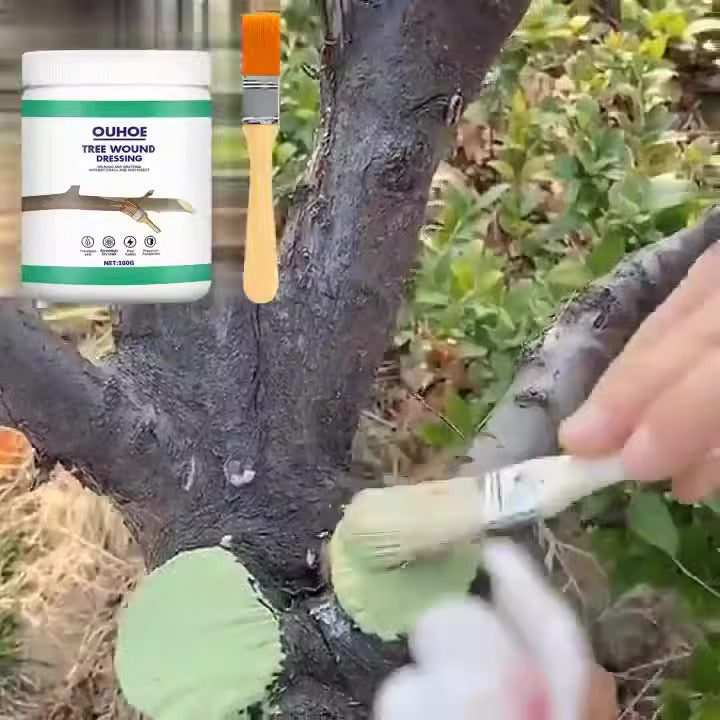 Seedling Tree Wound Sealer Callus Scars Cut Paste Bonsai Pruning Sealer Saw Cuts Coating Tree Wound Healing Paste Tree - V.I.P Digital Presence