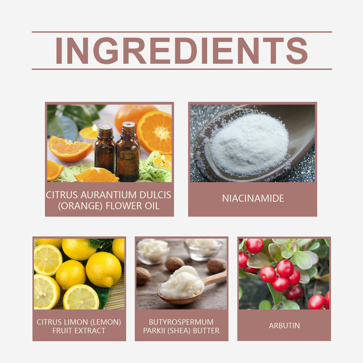 Arbutin Shower Gel Fragrance Fresh And Gentle Clean Skin Exfoliating Nourishing Skin Care Shower Gel