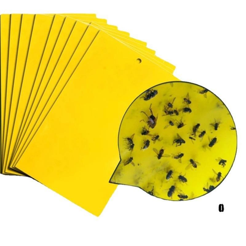 Double sidedStrong Flies Traps Bugs Sticky Board Catching Aphid Insects Killer fly Control Whitefly Thrip Leafminer Glue Sticker - V.I.P Digital Presence
