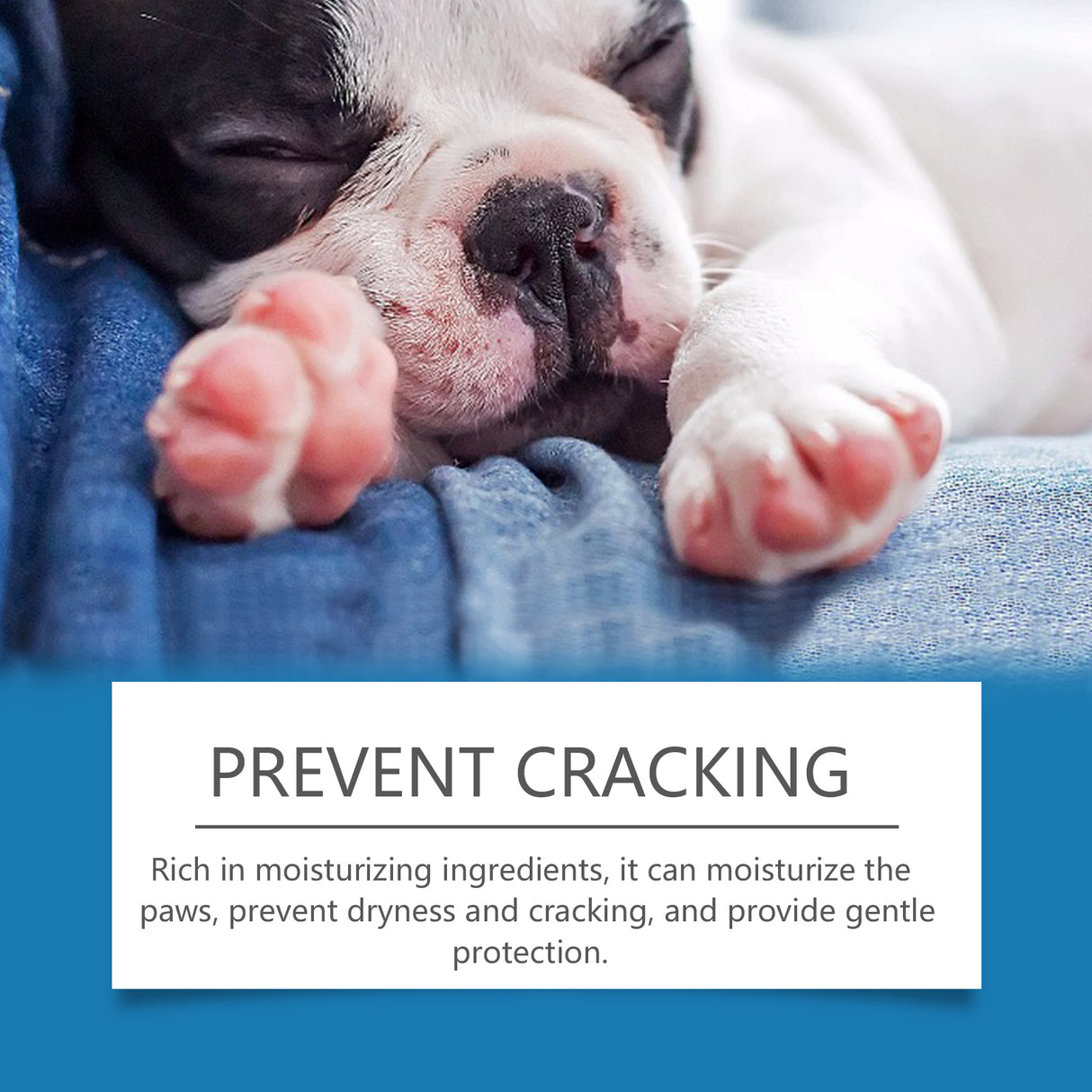 Pet Paw Cleaner Deep Wash Feet For Dogs And Cats Soles And Pads Care Foam - V.I.P Digital Presence