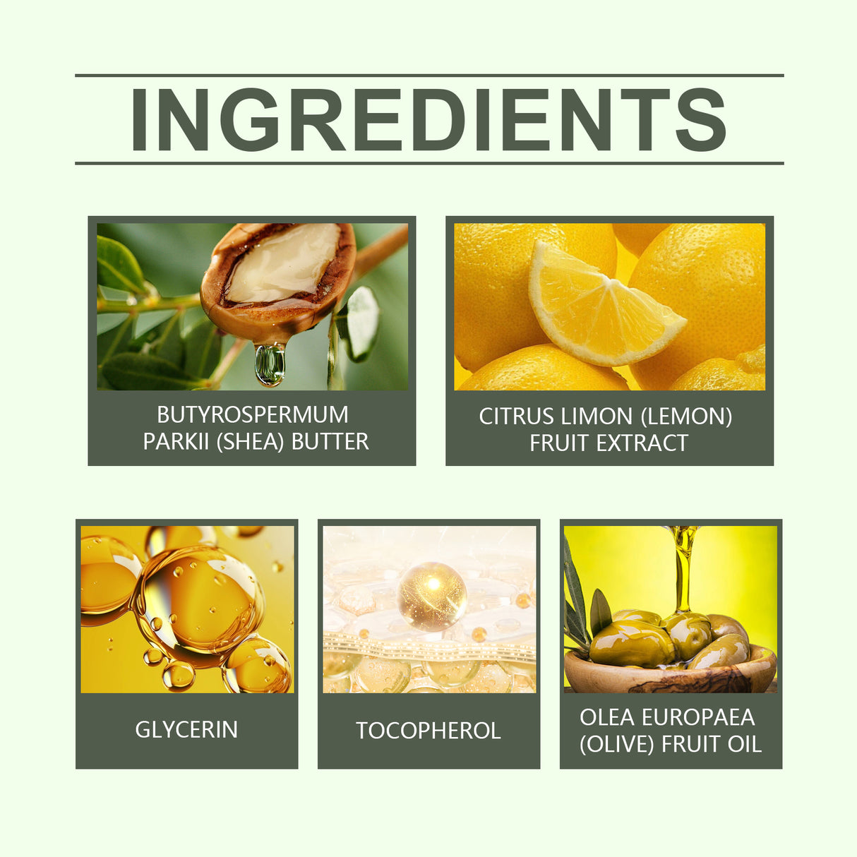 Shea Butter Daily Moisturizing Care Body Moisturizing Skin Moisturizing Body Care Cream