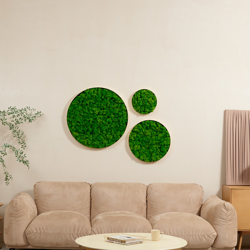 Round Framed Moss Wall Decor, only the Large