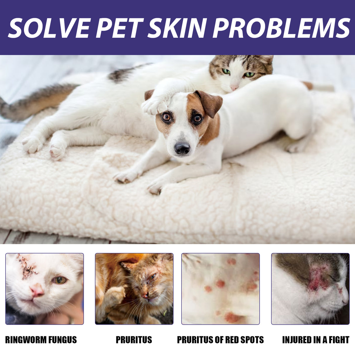 Pet Care Spray, Pet Cat And Dog Skin Wound Care Skin Moss Itchy Repair Spray - V.I.P Digital Presence