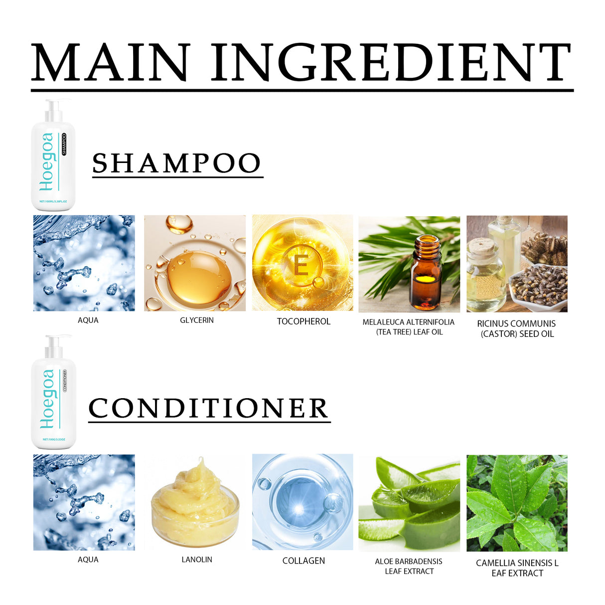 Shampoo And Conditioner Set - V.I.P Digital Presence