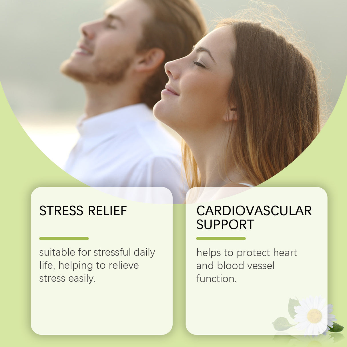 Body Care Inhaler Gentle Care Clean Lift Comfort Relief Uncomfortable Body Carer - V.I.P Digital Presence