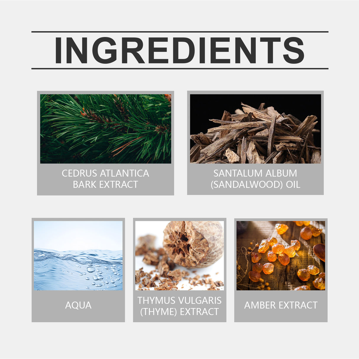 Eau De Toilette, Warm Wood Scent Charming Floral Fragrance Fresh Natural Fragrance Fragrance Lasting Fragrance - V.I.P Digital Presence