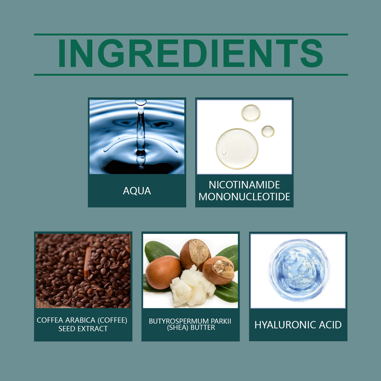 Oceaura Body Skin Care Oil Skin Hydrating And Moisturizing Refreshing Skin Care Firming Care Oil - V.I.P Digital Presence