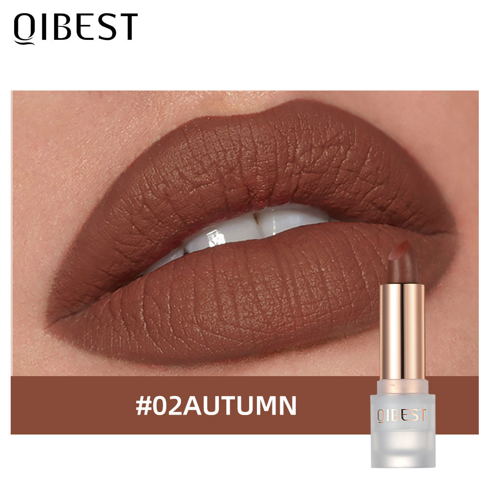 QIBEST Lipstick Velvet Matte Lipstick Not Easy To Fade Easy To Color Matte Lipstick - V.I.P Digital Presence