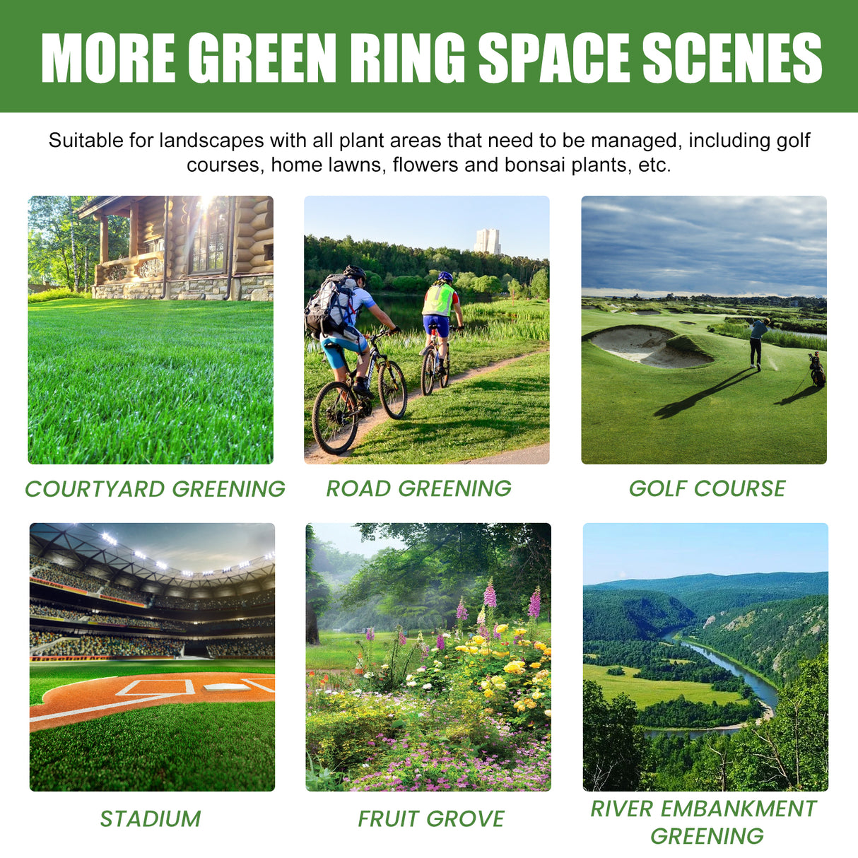 Plant Nutrient, Plant Fertilizer Flower Potted Lawn Green Leaf Root Growth Nutrient - V.I.P Digital Presence