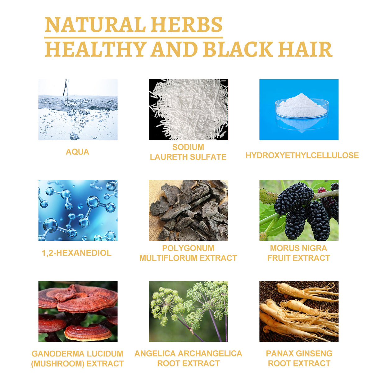 Black Ganoderma Lucidum White Black Black Hair Nourishing Hair Nourishing Hair Moisturizing Hair Repair Massage Essence - V.I.P Digital Presence