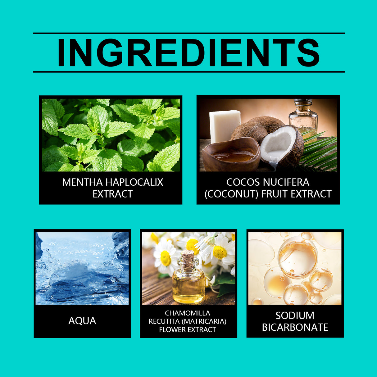 Coconut Mint Mouthwash Remove Stains, Freshen Breath And Clean Teeth With Convenient Care Mouthwash - V.I.P Digital Presence