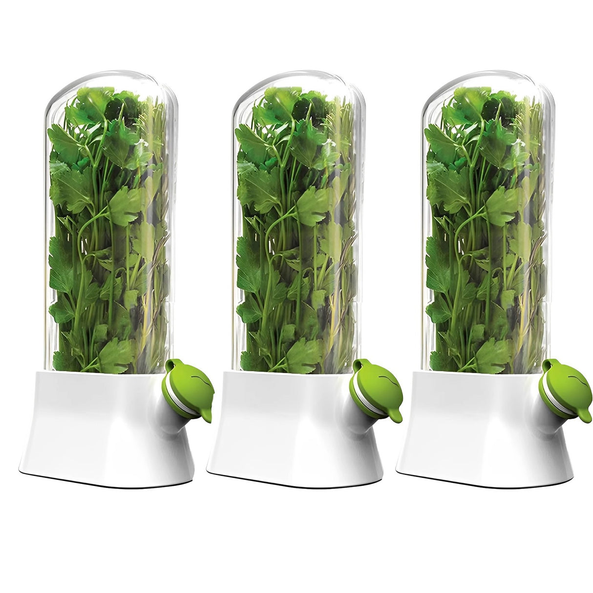 Vanilla vegetable fresh-keeping box pressure resistant fresh-keeping device creative fresh-keeping cup - V.I.P Digital Presence