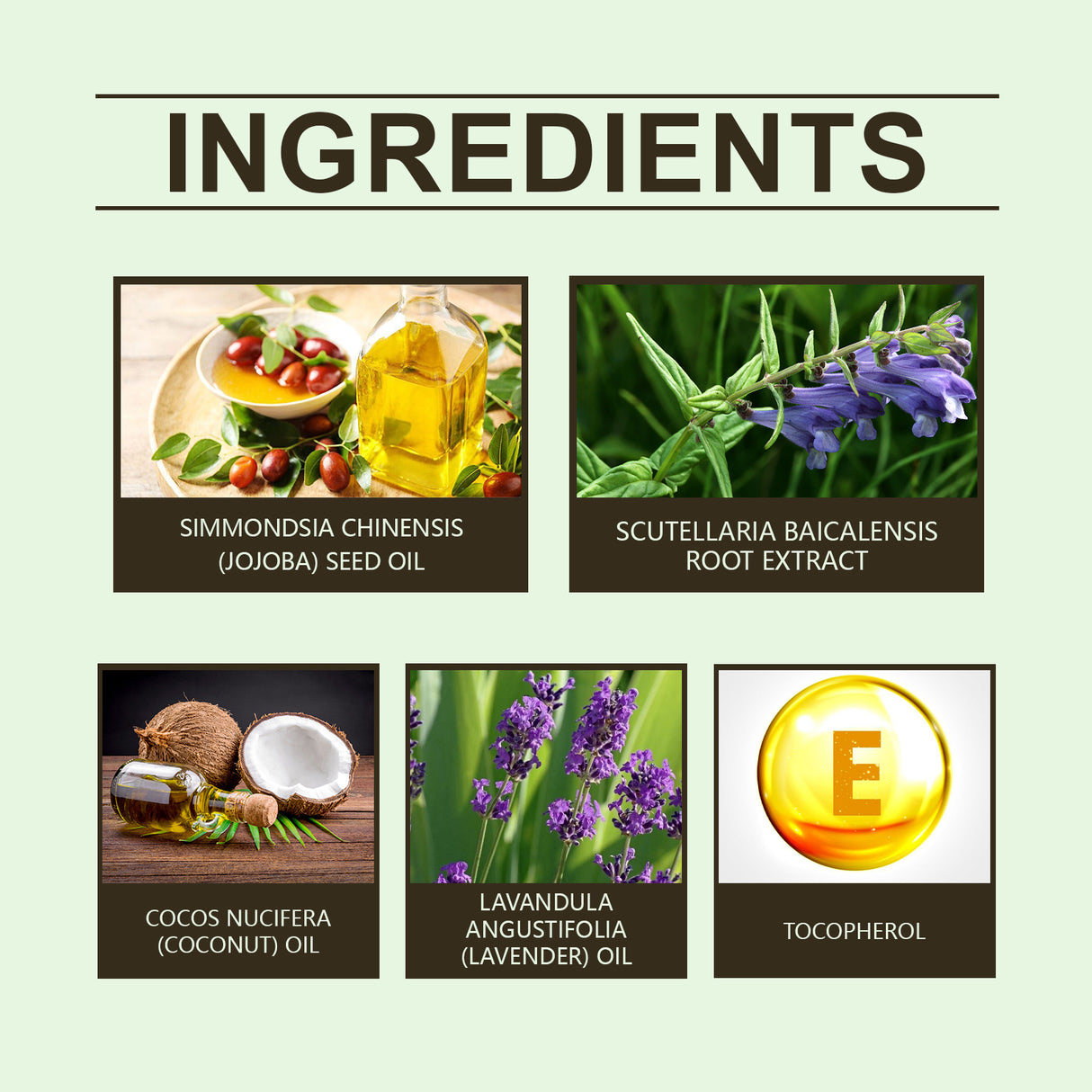 Scutellaria Sleep Essential Oil Eases Sleep, Relaxes And Comforts Portable Skin And Body Care Essential Oil - V.I.P Digital Presence