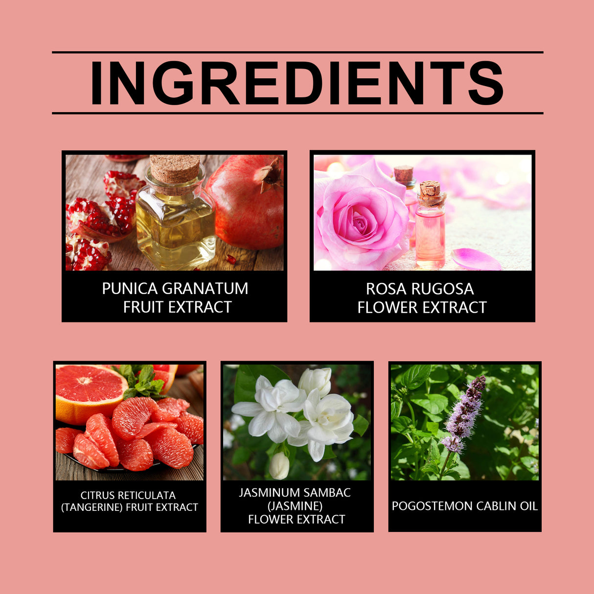 Eau De Parfum Travel Spray, Long-Lasting Light Fragrance Fresh Floral Rose Charm Jasmine Fragrance - V.I.P Digital Presence