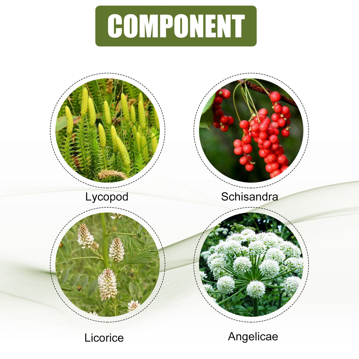 Leg Repair Cream Relieves Leg Discomfort Massage Leg Repair Cream For Raised Veins - V.I.P Digital Presence