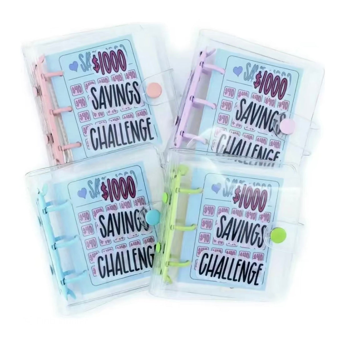 CashStash Challenge Binder