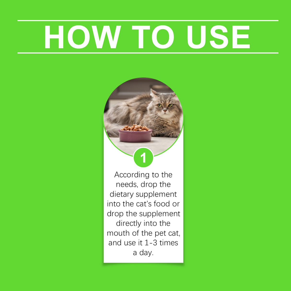 Cats With Probiotic Drops, Care For Cats Health And Vitality Care Absorb Nutritional Supplements - V.I.P Digital Presence