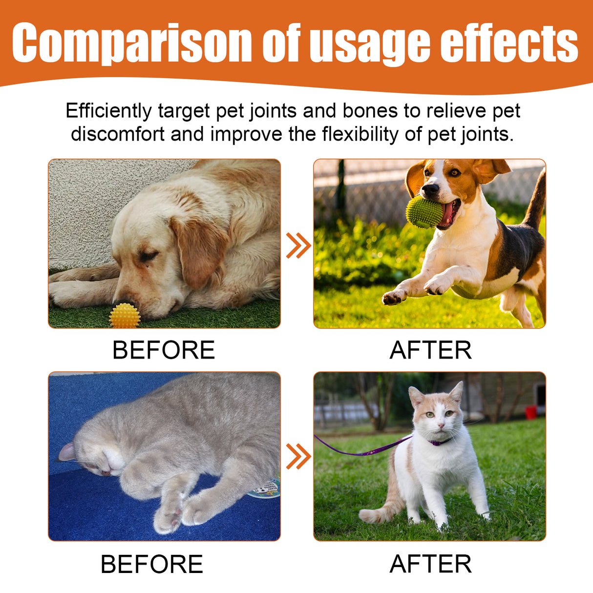 Pet Bee Venom Oil, Joint Care For Cats And Dogs Relieves Joint Pain For Pets Pet Care Water - V.I.P Digital Presence