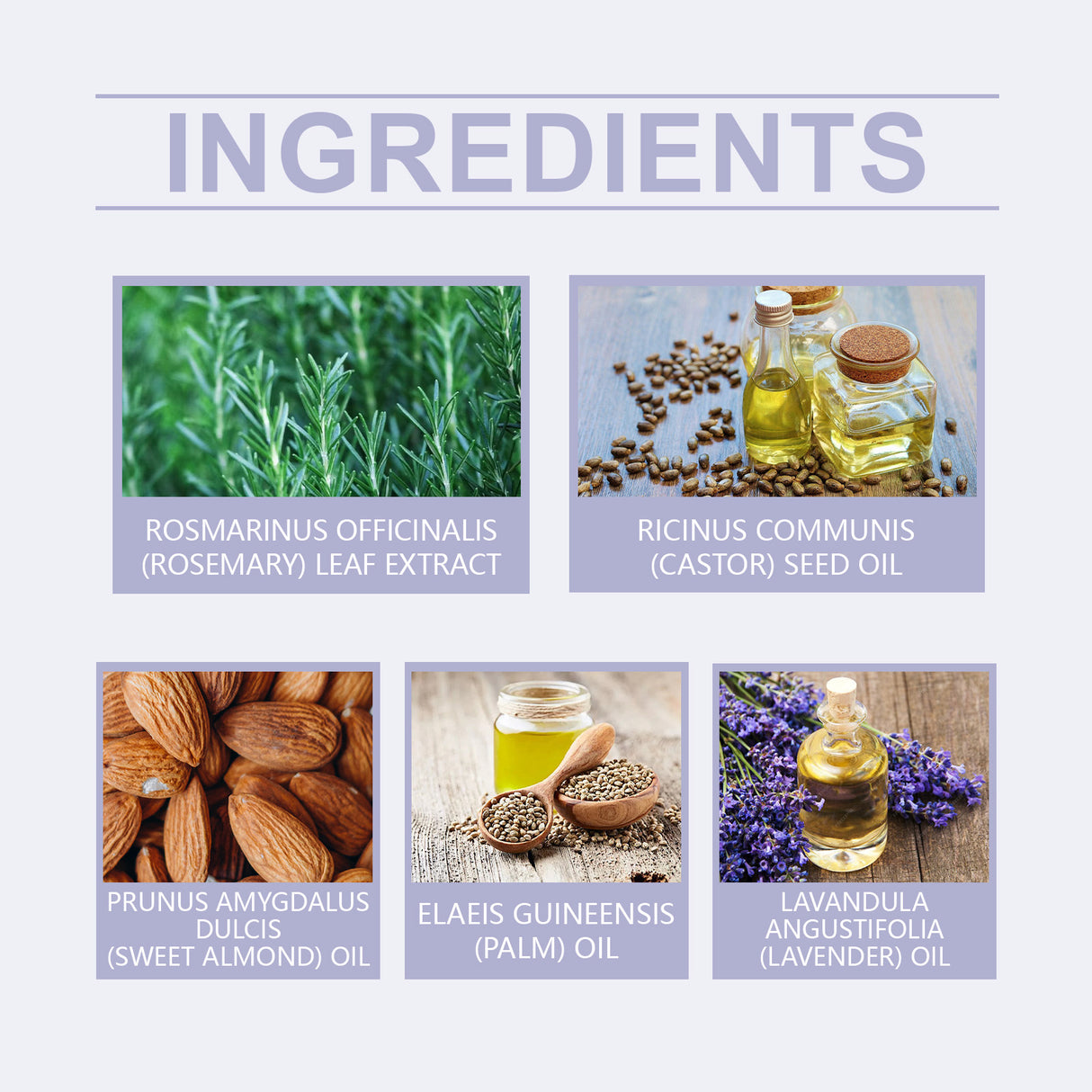 Plant Extract Blend Hair Care Essential Oil Nourishes Scalp, Shampooing, Nourishing Hair, Moisturizing And Smoothing Hair Care Essence - V.I.P Digital Presence